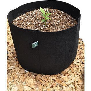 Grow Guru Horticulture's 10 Gallon Fabric Pot for Plants