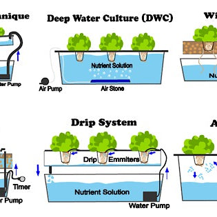What are the 6 types of hydroponics?