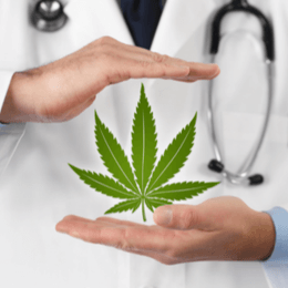 Medical Benefits of Cannabis on the Influenza Virus and the Common Cold