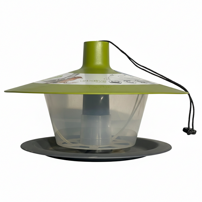 Plastia Bird Feeder - Finch