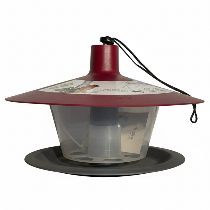 Plastia Bird Feeder - Finch
