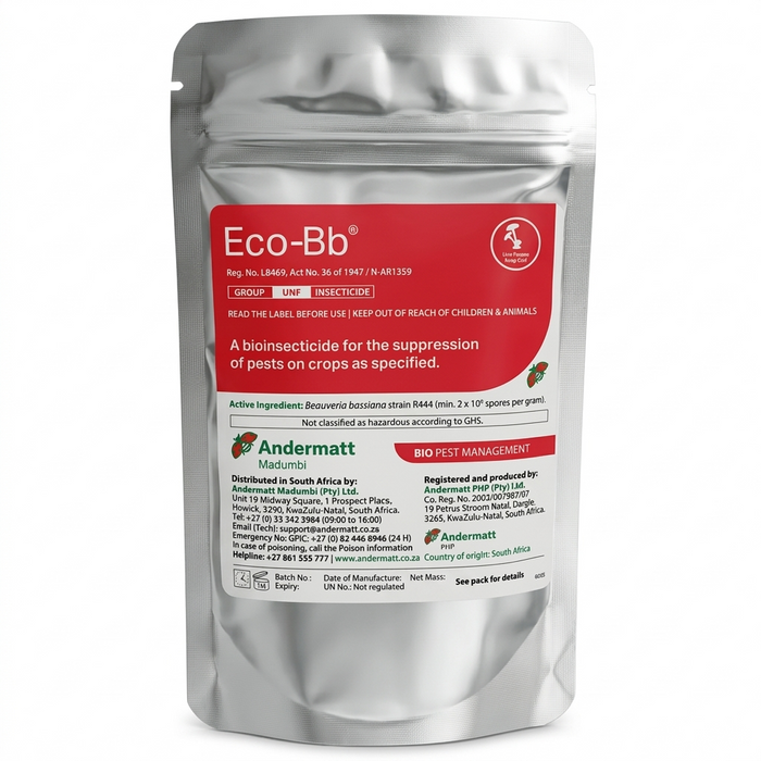Eco - BB