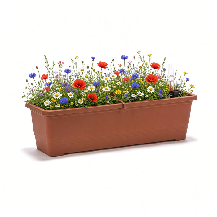 Plastia Self Watering Flower Box - Bergamot - 50cm