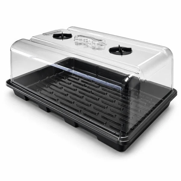 High Dome Propagator Large