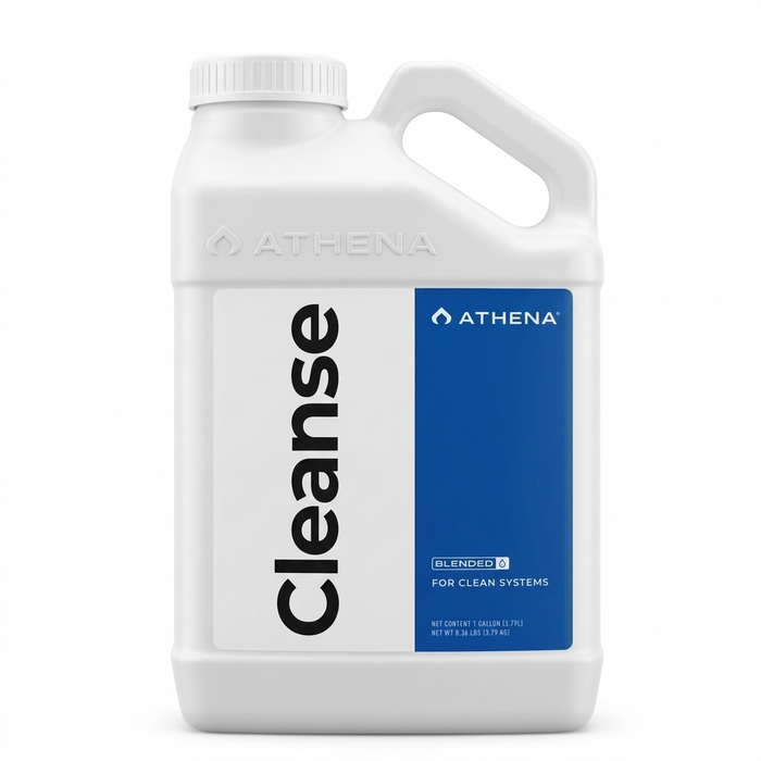 Athena - Cleanse
