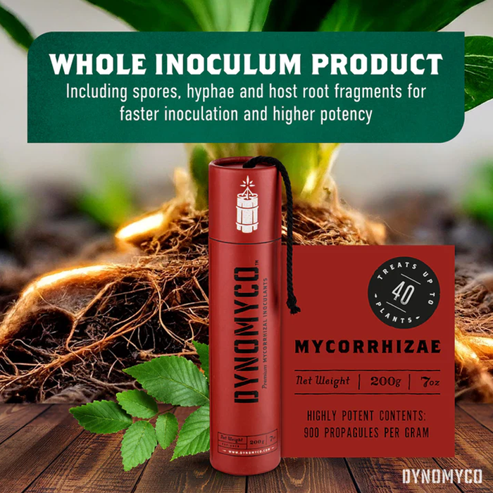 Dynomyco