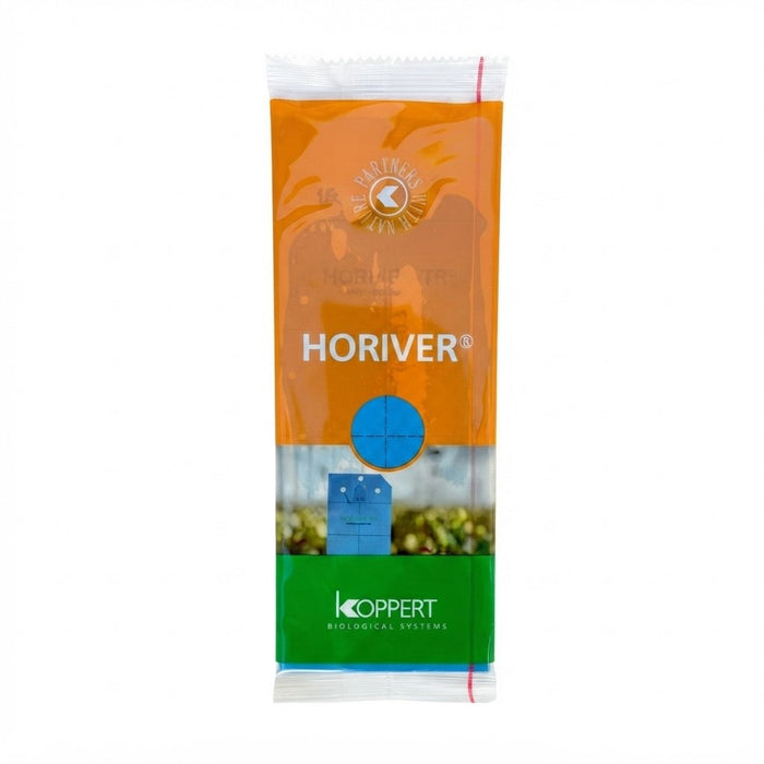 Insect Sticky Pad - Blue (10 Pack)