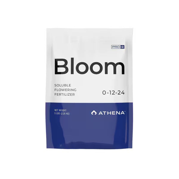 Athena Pro - Bloom