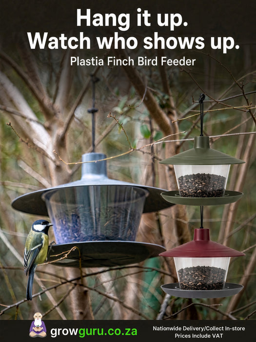 Plastia Bird Feeder - Finch