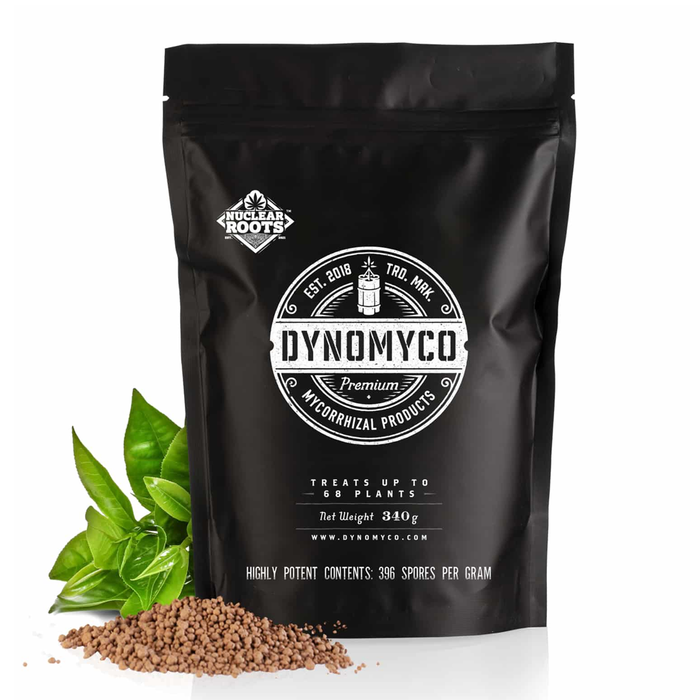 Dynomyco