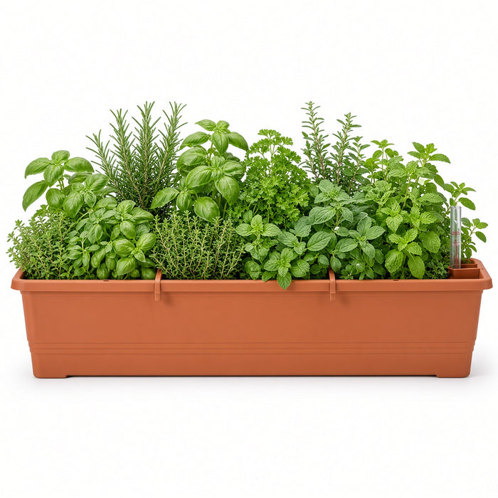 Plastia Self Watering Flower Box - Bergamot - 80cm