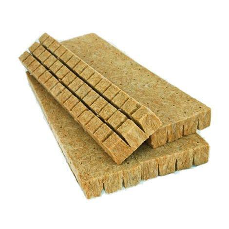 Rockwool Starter Plug — Grow Guru