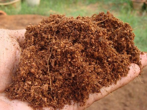 GrowGuru Premium Coco Peat 650g Grow Medium