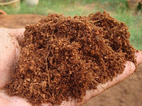 Thumbnail for GrowGuru Premium Coco Peat 650g Grow Medium