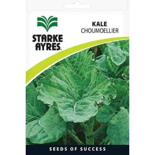 Starke Ayres Kale Seeds-Choumoellier Seeds & Clones